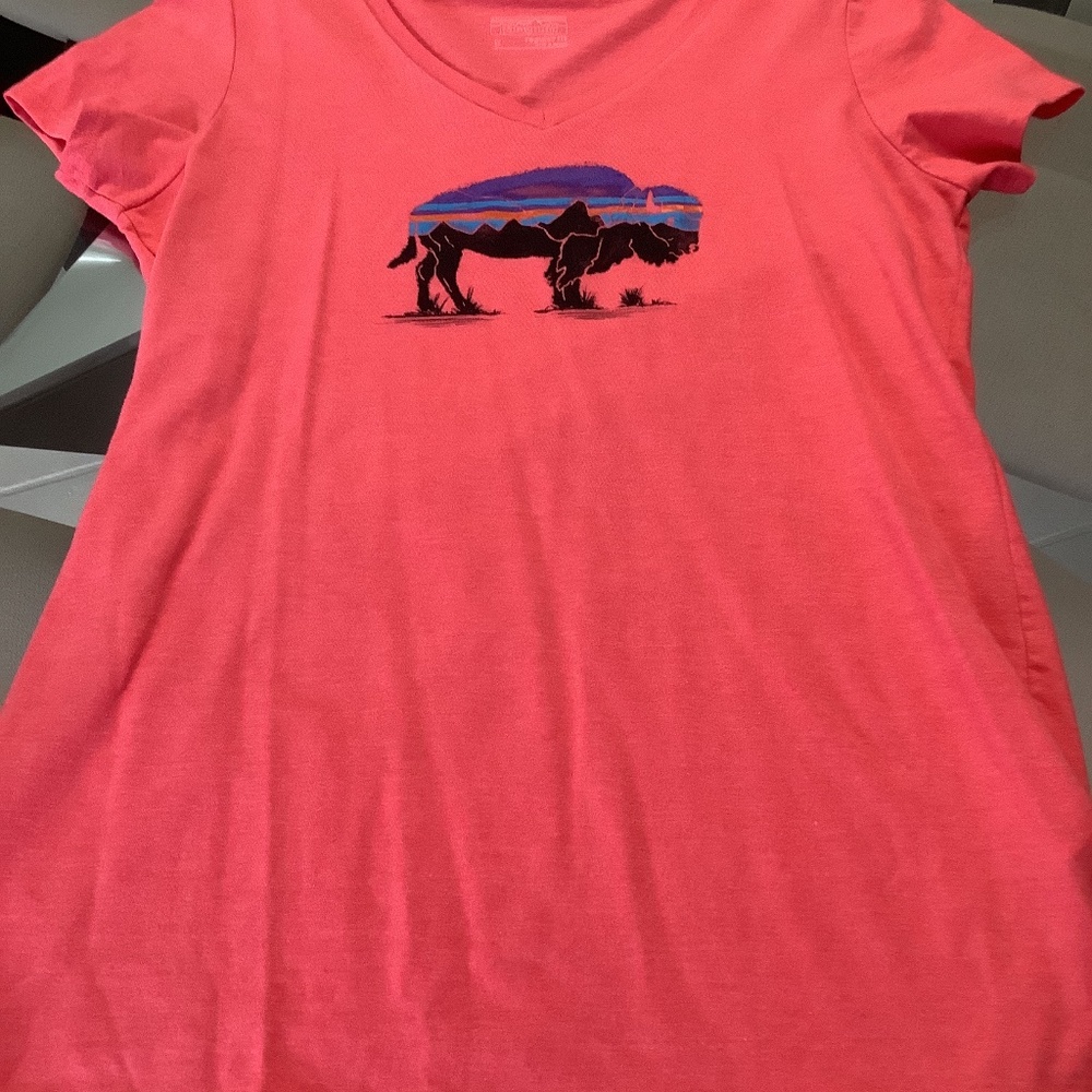 Patagonia tee. NWOT